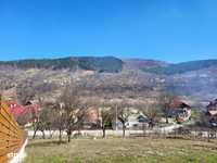 Vanzare teren Valea Doftanei - Sat Tesila - langa Queen Doftana