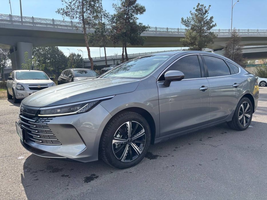 BYD chazor 2023 FULL