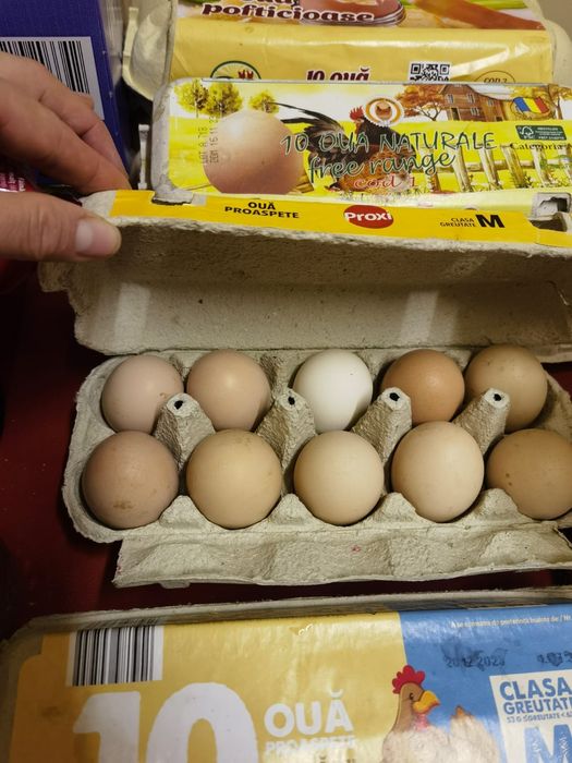 Oua proaspete de vânzare