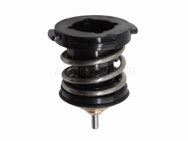 Термостат Audi A1