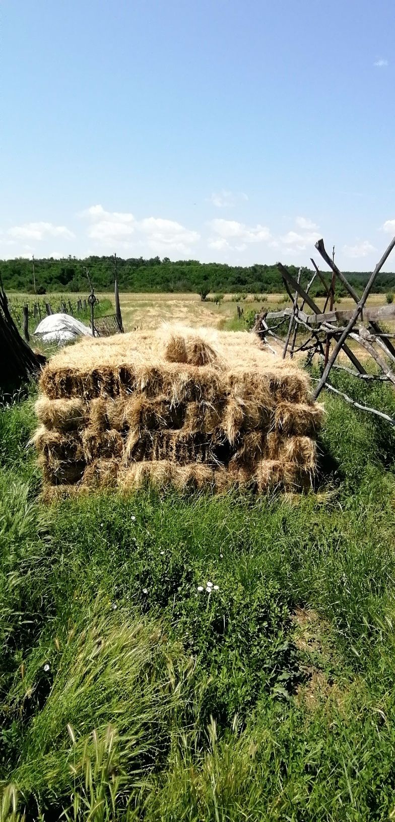 Baloți de fân curat