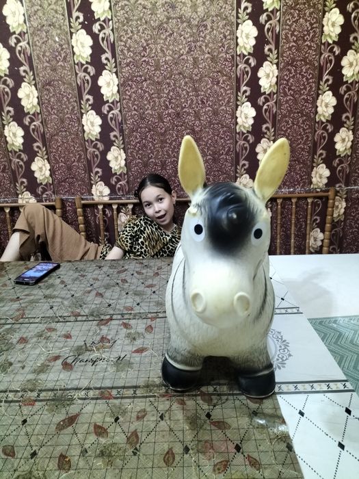 Продам игрушку резиновую Ослик.