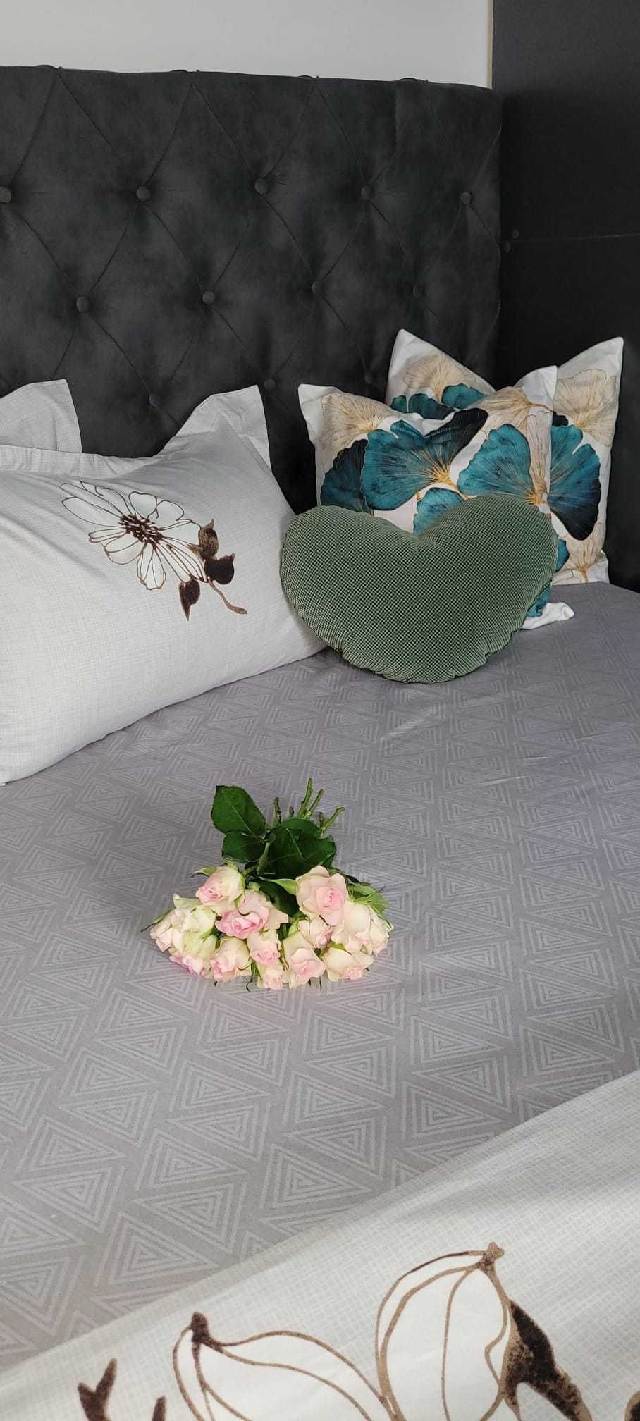 Garsoniera  Regim hotelier Central