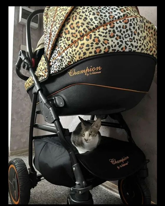 Продам коляску трансформер