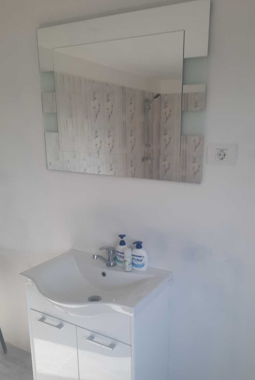 Casa VISINA - OLT, teren 1750 mp - mutare imediata !