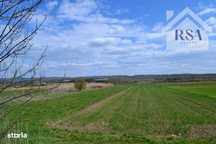 Teren intravilan Valcea – Mihaesti 5.000 mp DN64