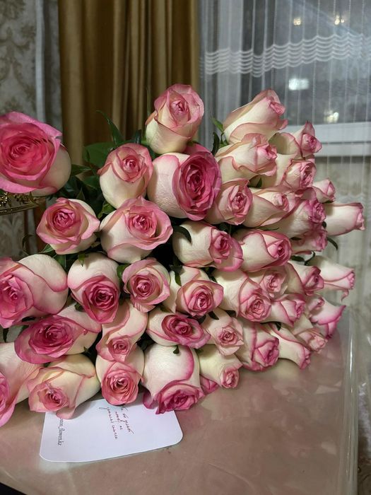 51 роза қазір келген.  Свежий