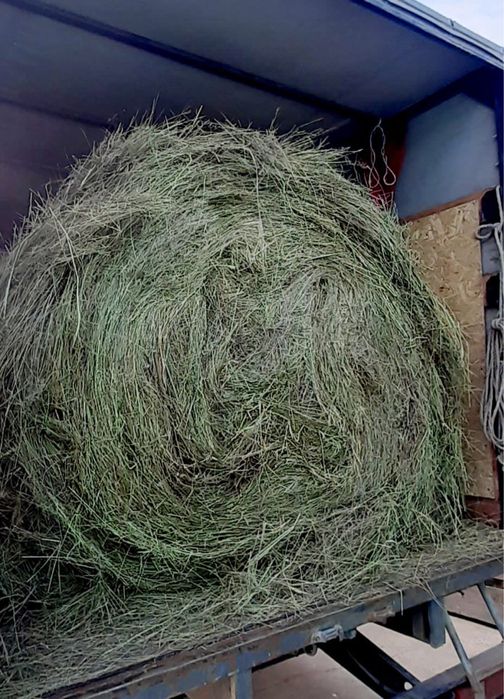 Продам сено луговоев рулоне 11.000 с доставкой. Большой  рулон 200 кг.