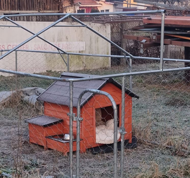 Vând cuşcă pentru câini