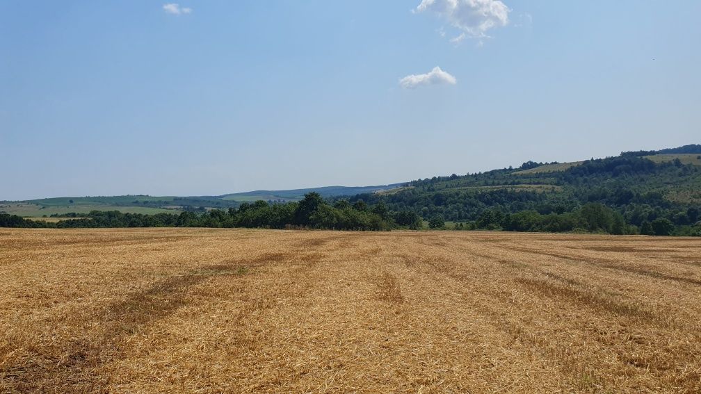 De vânzare teren arabil 2.58 ha. în comuna Bogda județul Timiș !!!