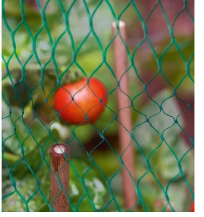 Plasa protecție păsări Parkside  4x5 m