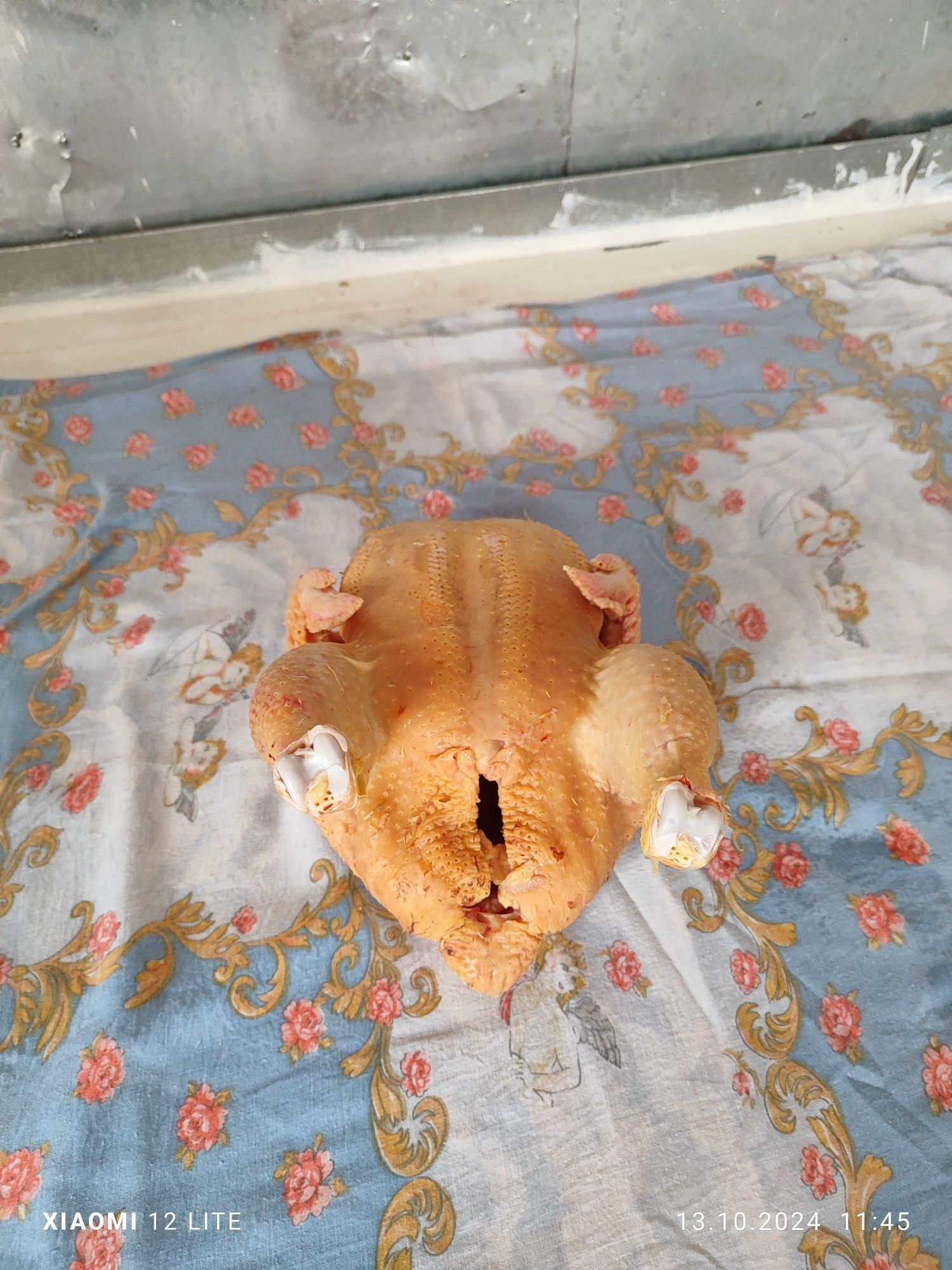 Мясо домашних бройлеров