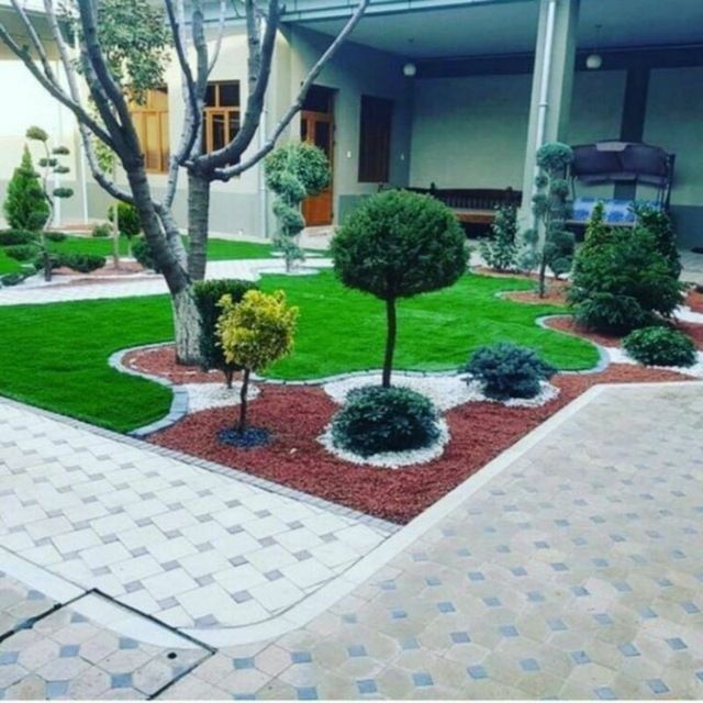 Gazon ekish xizmati Samarqand