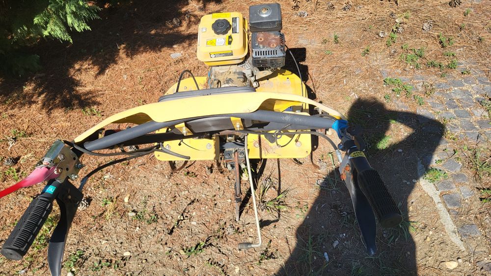 Motocultor Pro Garden 100B