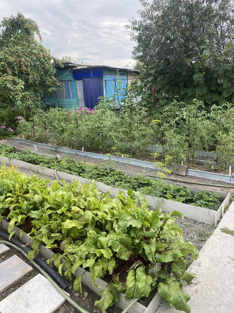 Продам дачу со всеми удобствами