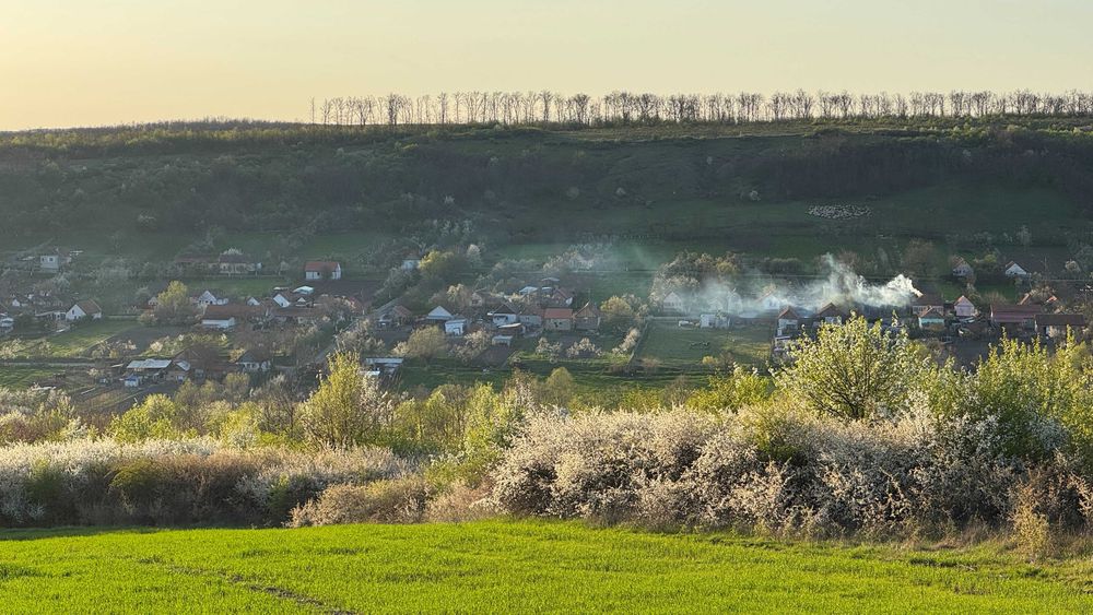Teren de vânzare în Stanciova, județul Timiș – poziție panoramică