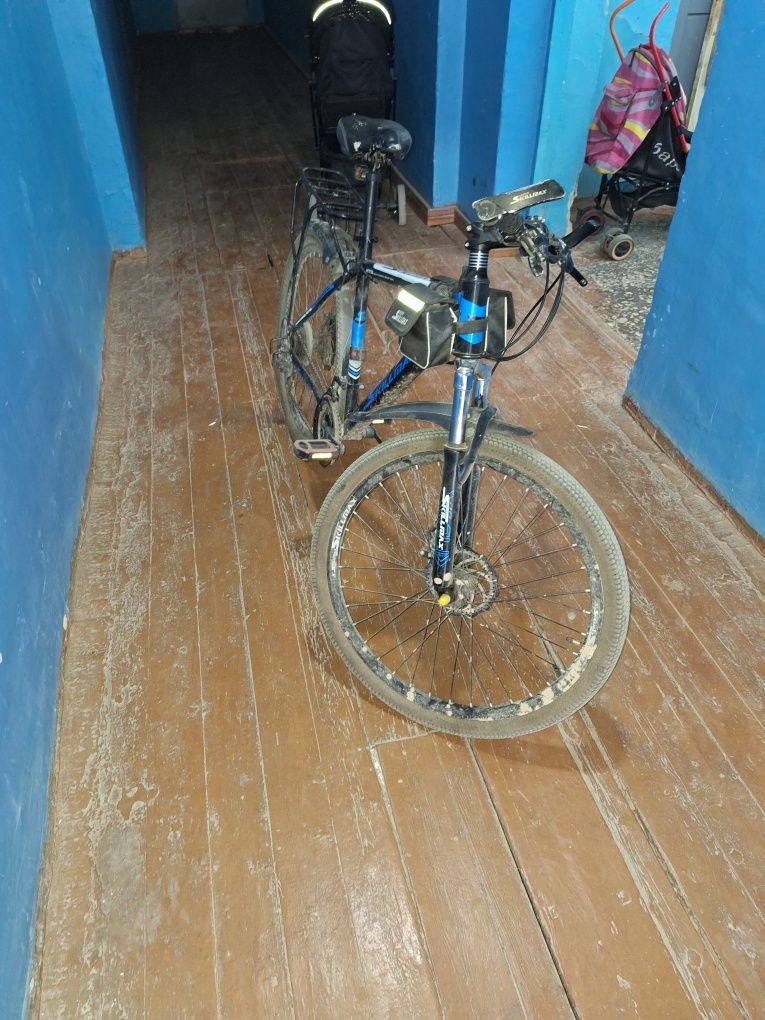 Spartivni Velosiped sotiladi