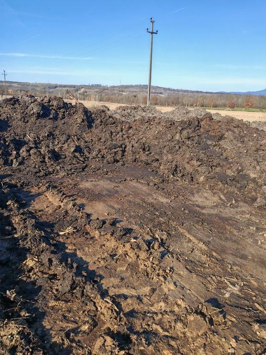 Gunoi de grajd, de oaie