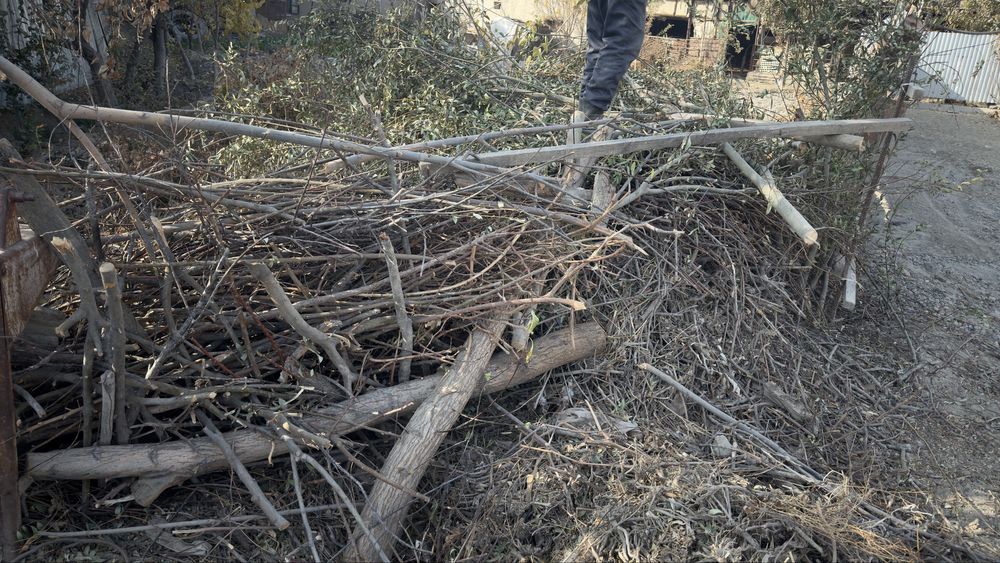 Ғузапоя эски ўтин утин самсачилар учун