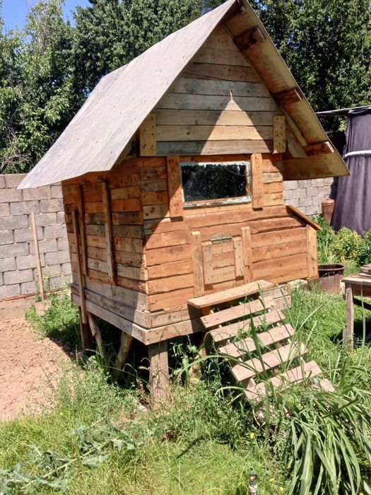 Курятник на 10 курочек