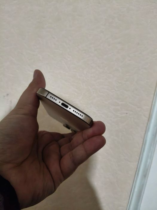 16 pro max 256gb gold