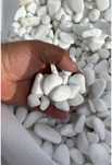 Piatra Alba Thasos Gradina Pietricele decorative colorate- depozit