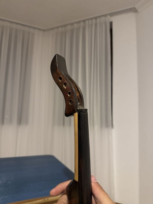 Lemn de vioara cu goarna unicat