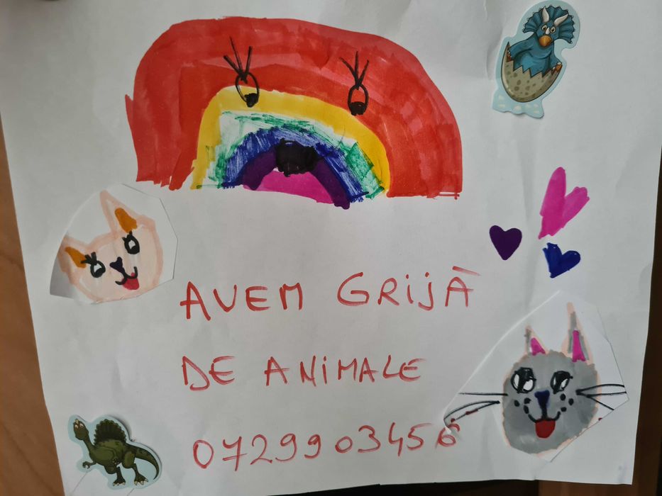 Pet sitter ingrijire animale constanta