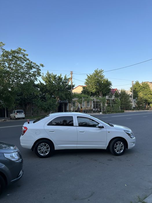 Cobalt oq kraska toza