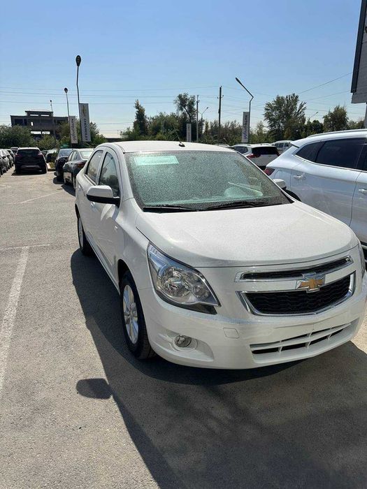 Cobalt 2026 pachka salon