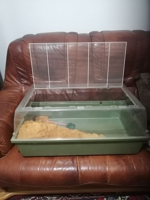 Террариум для ящериц, черепах, лягушек  б/у
