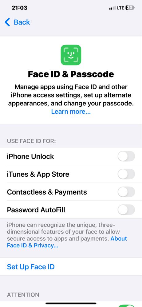 Iphone xs max 256gb