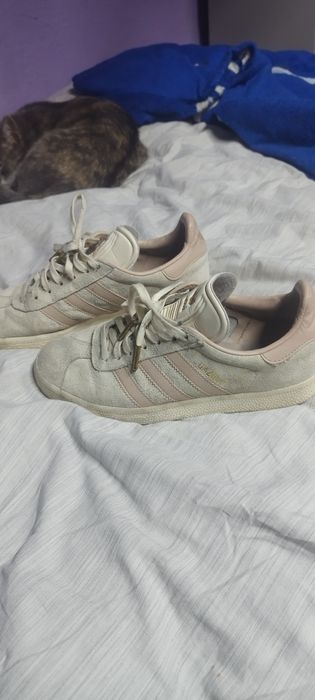 Adidas gazelle originali