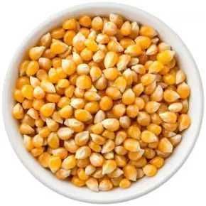 Porumb pentru floricele-popcorn,fara chimicale,se poate și semăna