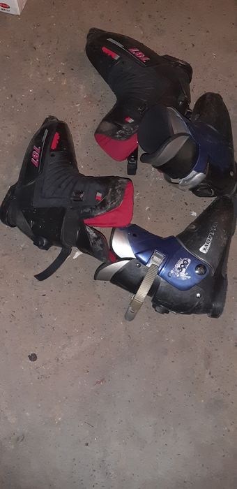 Schiuri clapari bete schiuri