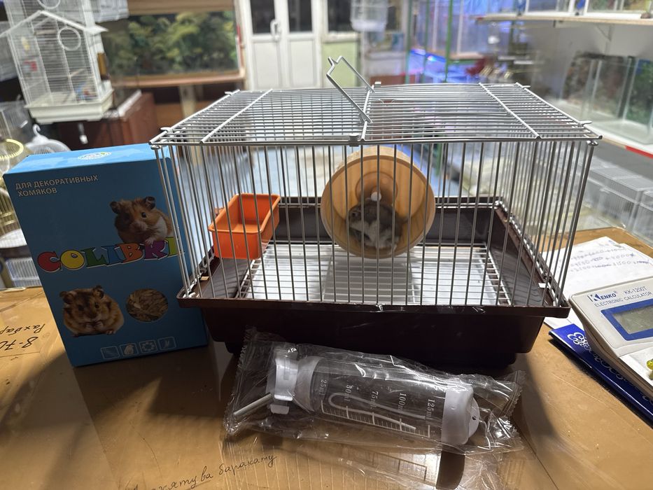 Хамяк+Клетка+корм+поилка (акция)