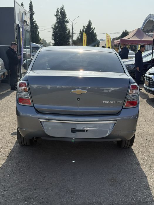 Cobalt midnight 2025 shot sprafka