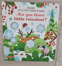Are you there little reindeer-Usborne