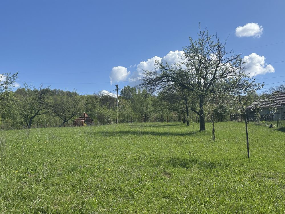 Vand 3420mp (34.2 ari), teren intravilan in localitatea Baia Sprie
