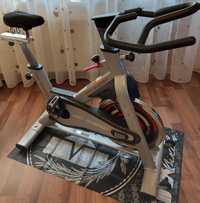 Bicicleta profesionala spinning PS300 ProEnergy