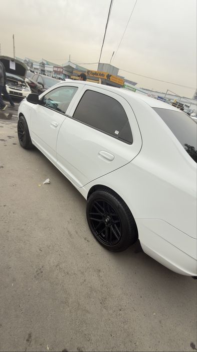 Cobalt 2024 Arenda 25-30%