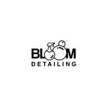 Detailing auto profesional