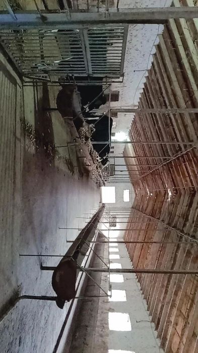 Ferma (toliq malumotni telda gaplashilinadi)