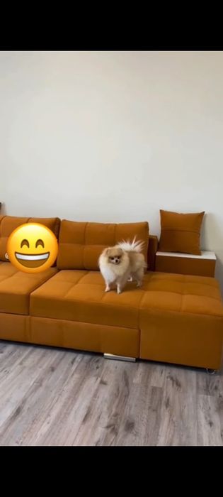 Canapele 3 în 1  Proiect Nou Polonia 3500 lei