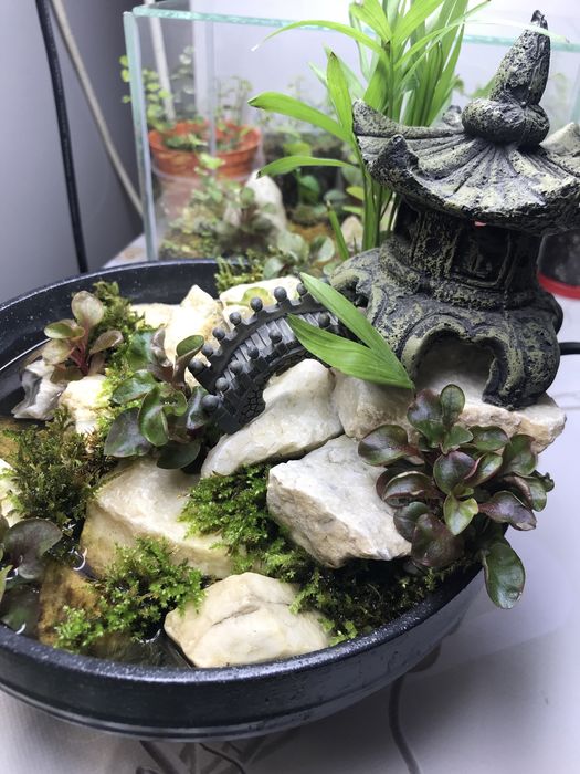 Продам мини водопад!