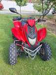 Atv dinli 801/ 300cc fără acte