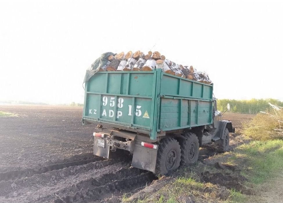 Дрова швырок и колотые