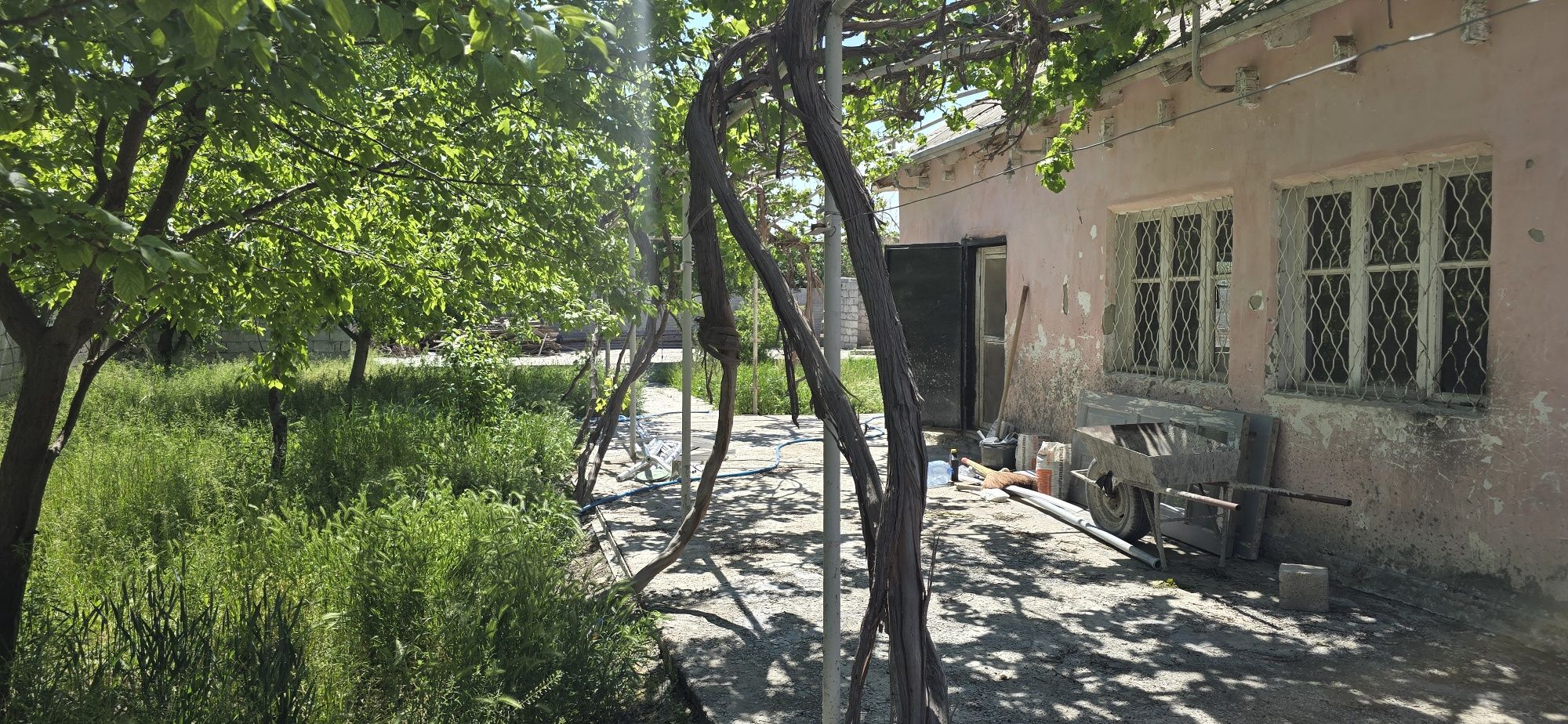 Dacha tezda sotiladi