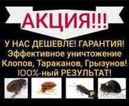 Дезинфекция клапа клопа таракан.
