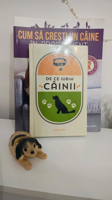 De  ce iubim cainii ghid îngrijire caini